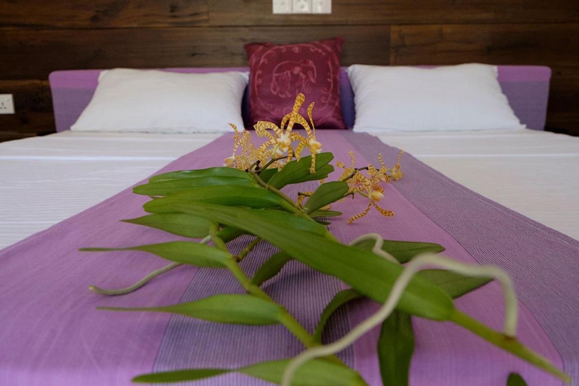 Sanda Eliya Resort 本托塔 外观 照片
