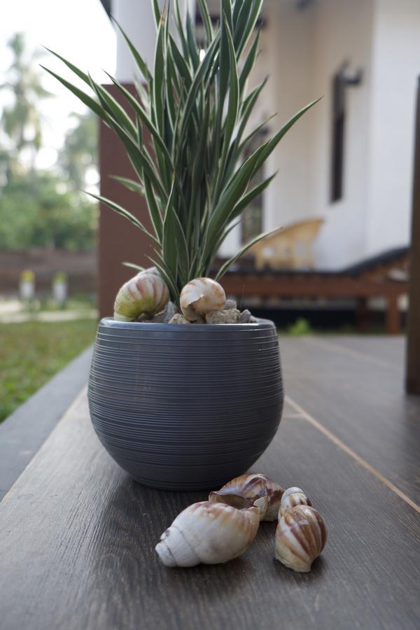 Sanda Eliya Resort 本托塔 外观 照片