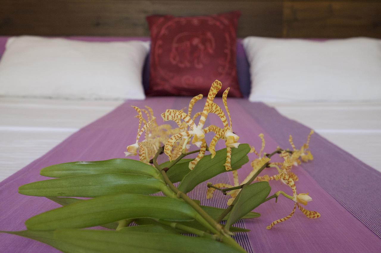 Sanda Eliya Resort 本托塔 外观 照片